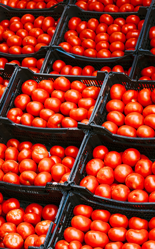 Omnichannel Distribution