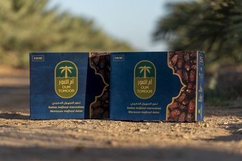 Slightly delayed start for Moroccan date season