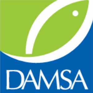 DAMSA