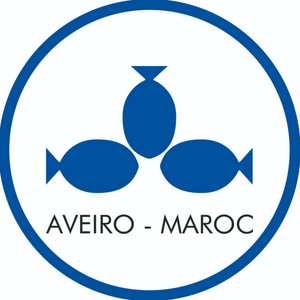 Groupe BICHA  Aveiro Maroc