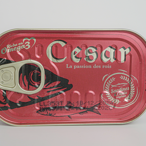 CANNED FISH