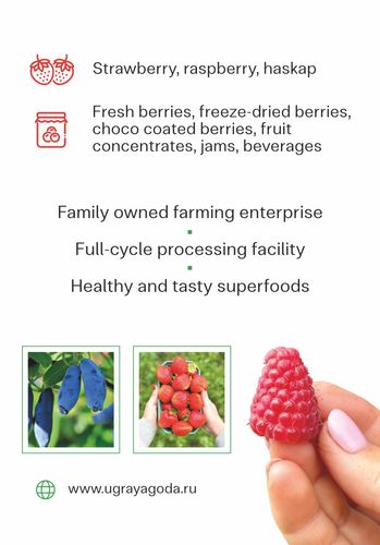 Ugra Berry - about us