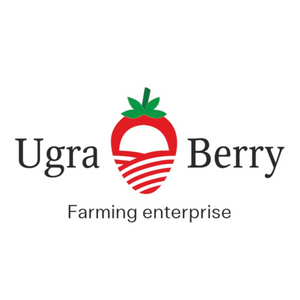 individual entrepreneur Arkhiereev Kirill Sergeevich