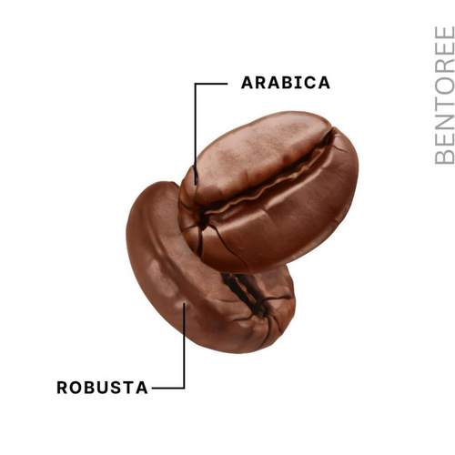 BENTOREE CAFE PREMIX CHOCOLATE DRINK PISTACHIO FLAVOURED