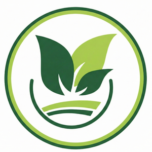 DRY FRUITS IMPORT & EXPORT LTD