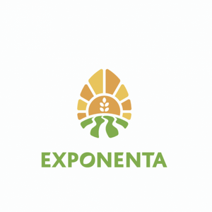 LLC EXPONENTA