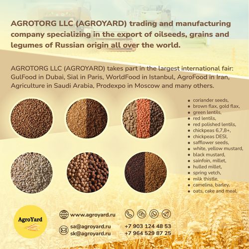Catalog