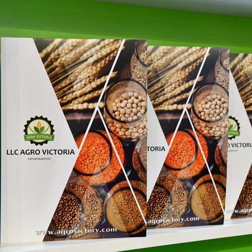 Russian pulses and oil seeds