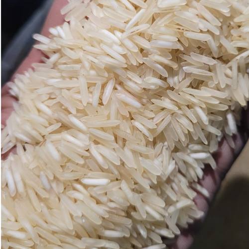 basmati rice - Gulfood 2026