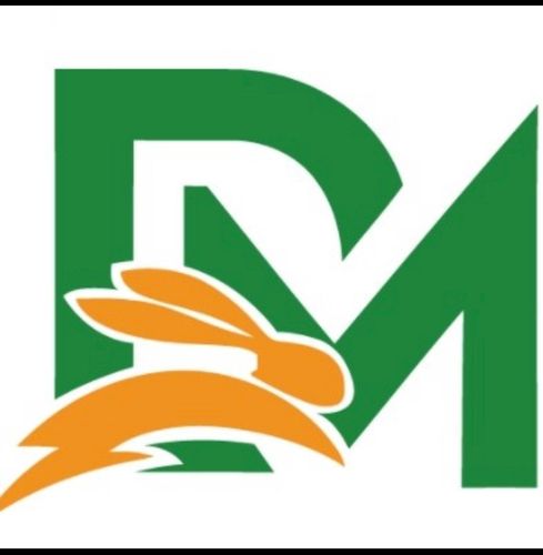 DM Foods Group