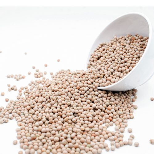 Pigeon Peas