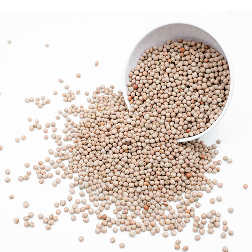 Pigeon Peas