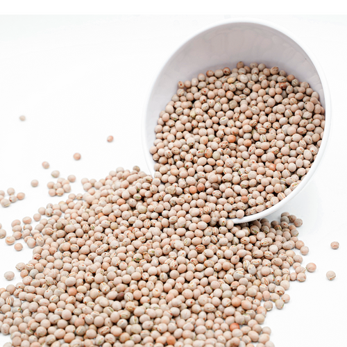Pigeon Peas