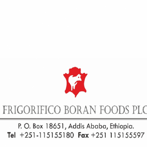 Frigorifico Boran Foods PLC / Akseker Ethiopia Casing PLC