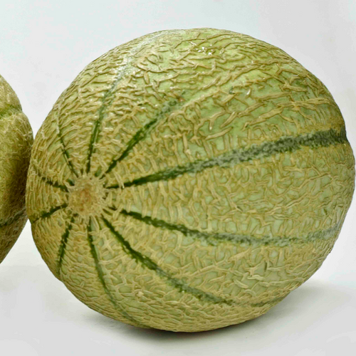 ROCK MELON (Cantaloupe)