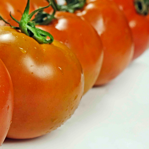 TOMATO