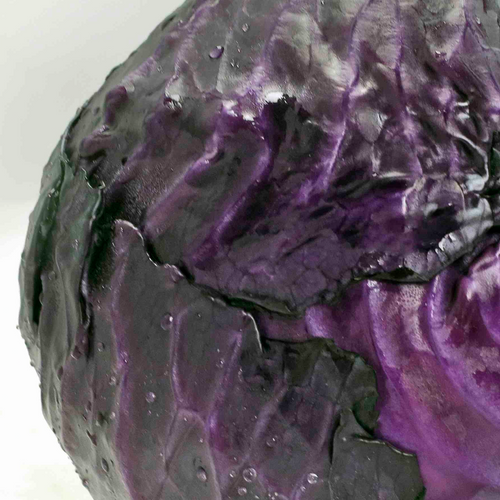 CABBAGE RED