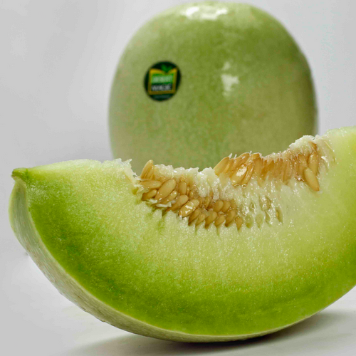 HONEY DEW MELON