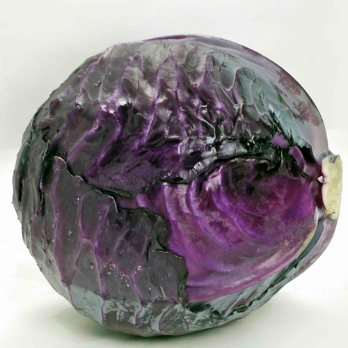 CABBAGE RED