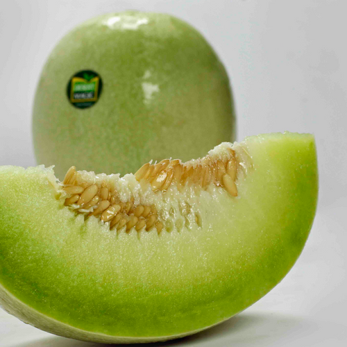 HONEY DEW MELON
