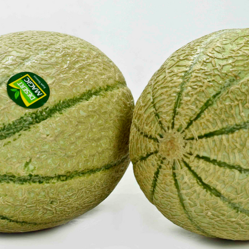 ROCK MELON (Cantaloupe)