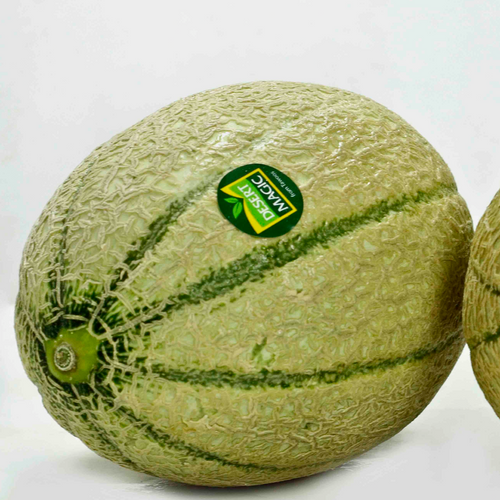 ROCK MELON (Cantaloupe)