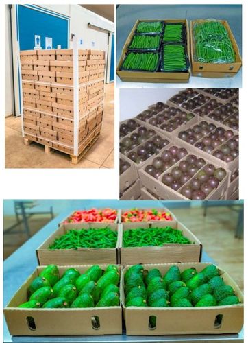 “ABCD GREAT LIFE Ltd Showcases Rwanda’s Premium Fresh Produce at GULFOOD 2026, Dubai”