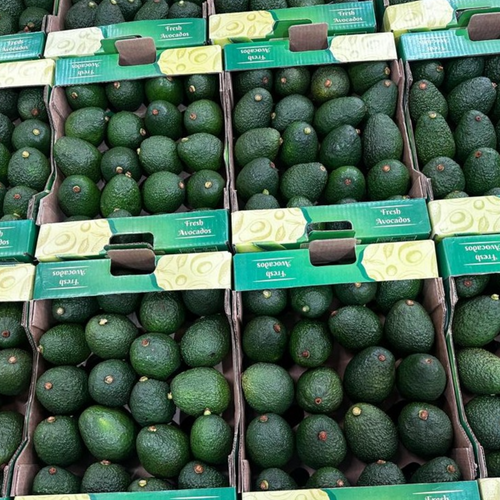 HASS AVOCADOS