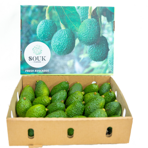Avocado (Hass and Fuerte)