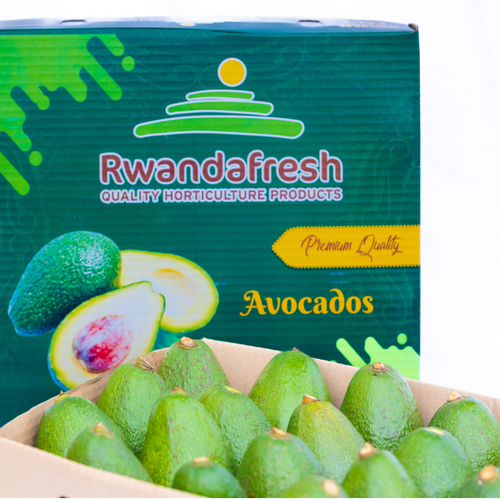 Avocado (Hass and Fuerte)