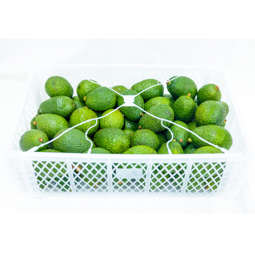 Avocado (Hass and Fuerte)