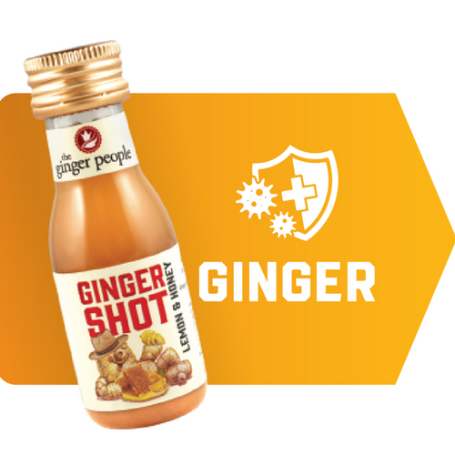 GINGER SGOT